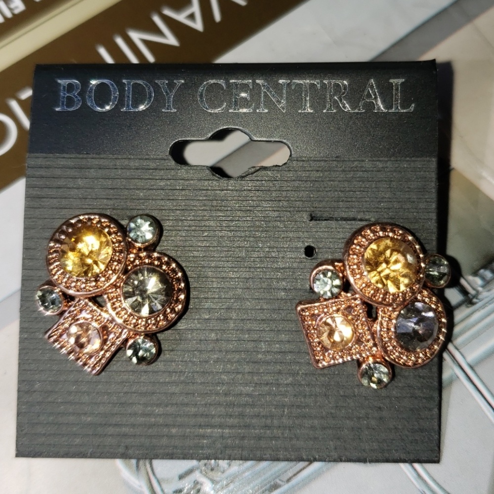Rose gold earrings New but no sticker price on it